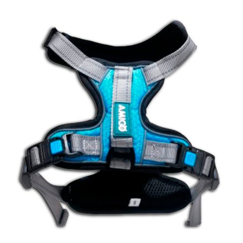 Accesorios para perros